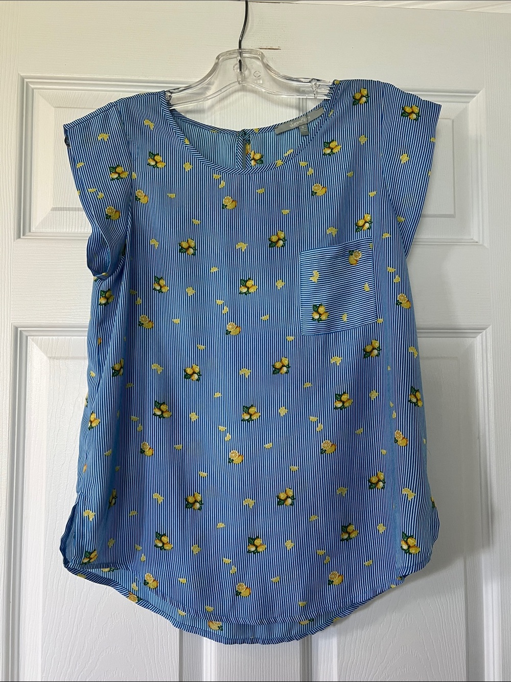 Sweet Rain Blue and White Striped Lemon Print Top